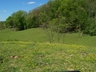 Pasture behind the barn